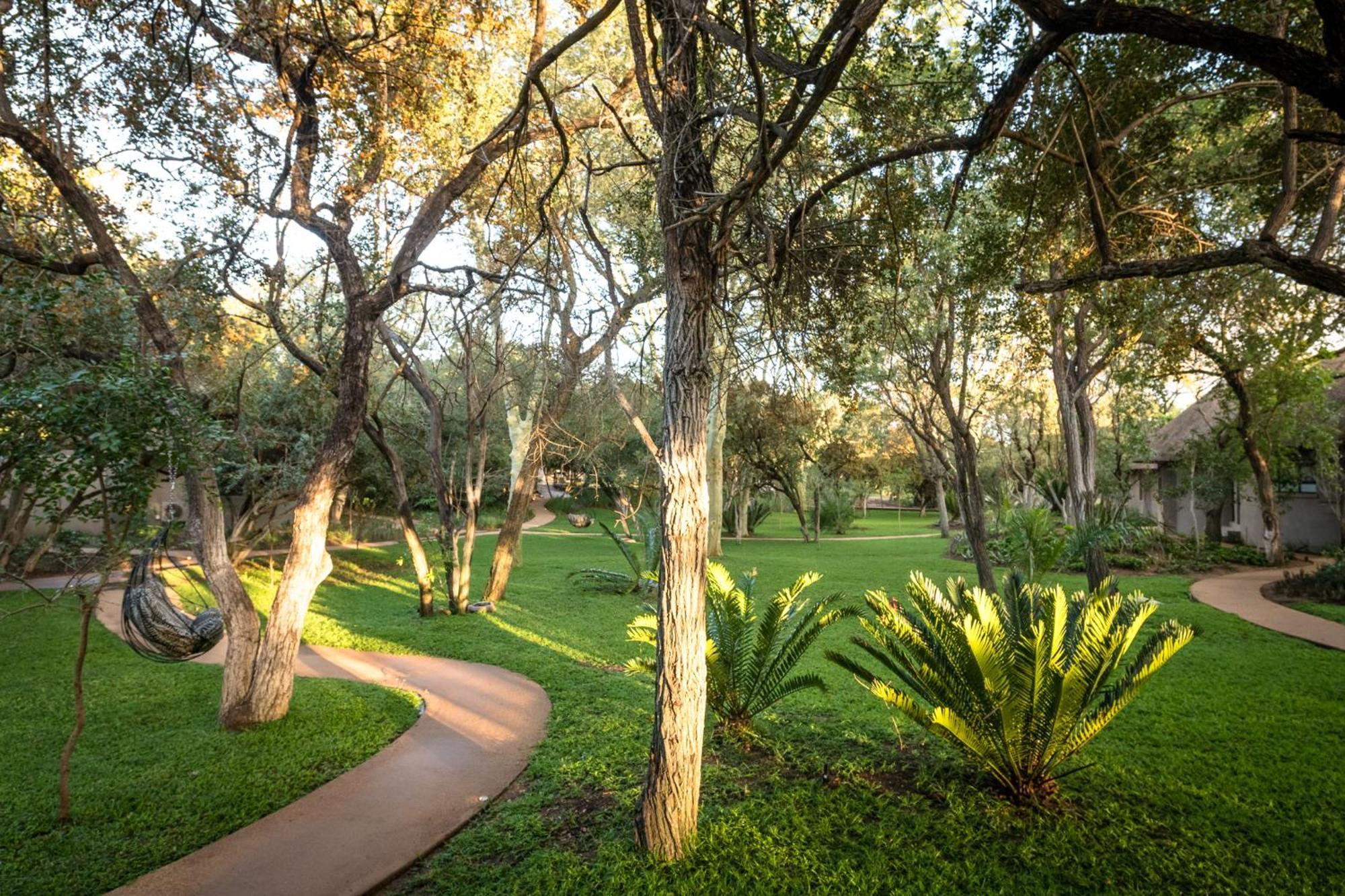 Serondella Safari Lodge Thornybush Doğa Koruma Alanı Dış mekan fotoğraf