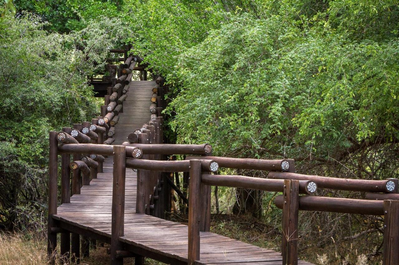 Serondella Safari Lodge Thornybush Doğa Koruma Alanı Dış mekan fotoğraf